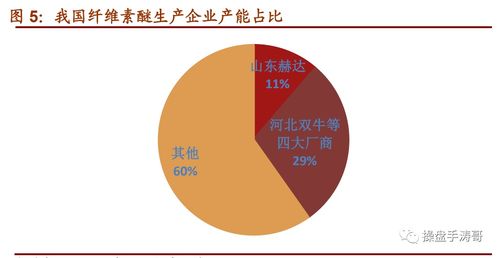 山东赫达 纤维素醚国内龙头,胶囊业务是公司未来增长重要突破口